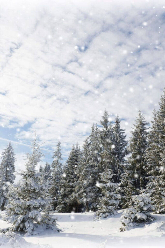 best winter hashtags for instagram