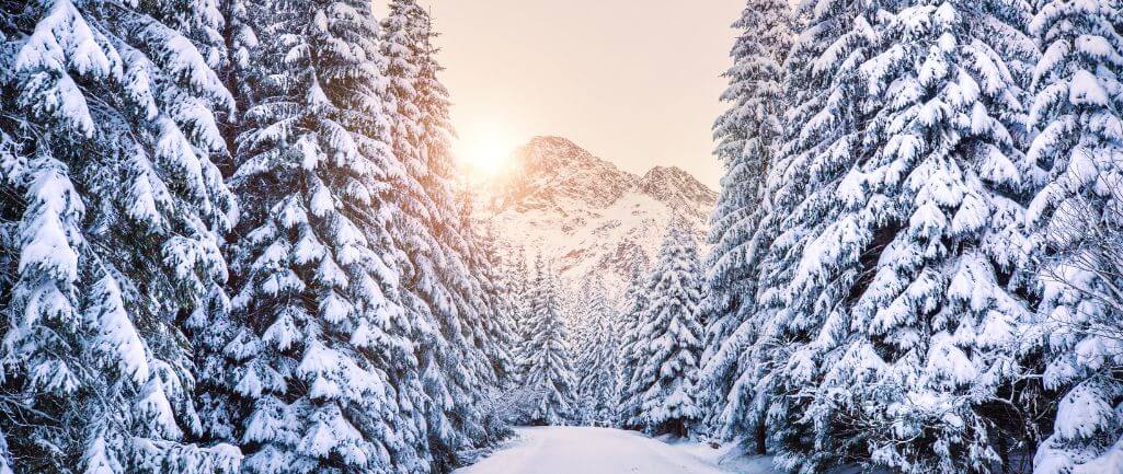 beautiful winter wonderland -winter hashtags for instagram